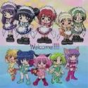 mewmew groupe